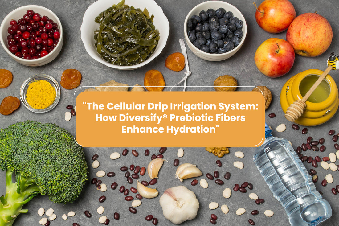 Prebiotic Fibers Enhance Hydration