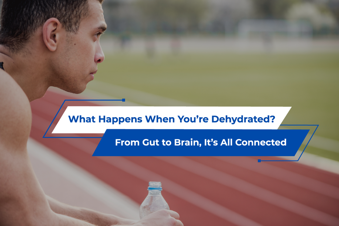 What Happens When You’re Dehydrated? From Gut to Brain, It’s All Connected