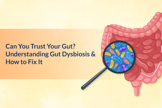 Can You Trust Your Gut? Understanding Gut Dysbiosis and How to Fix It