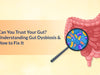Can You Trust Your Gut? Understanding Gut Dysbiosis and How to Fix It